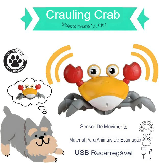 CrabPet Aventureiro